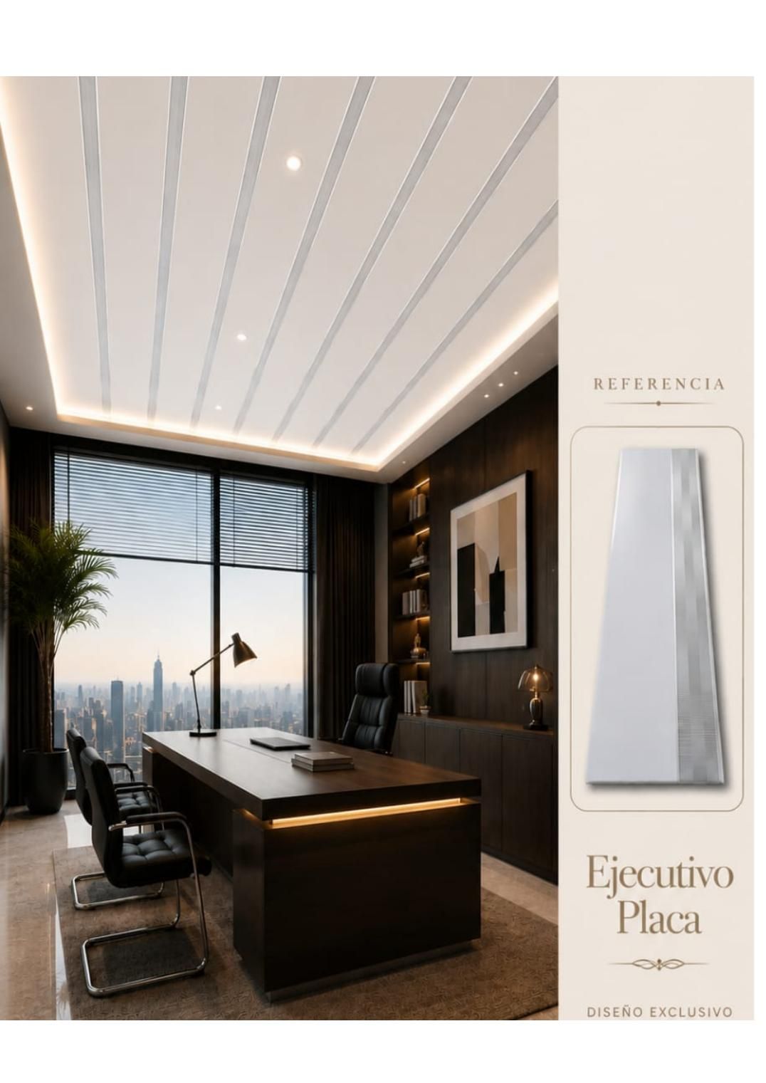 Ejecutivo Placa